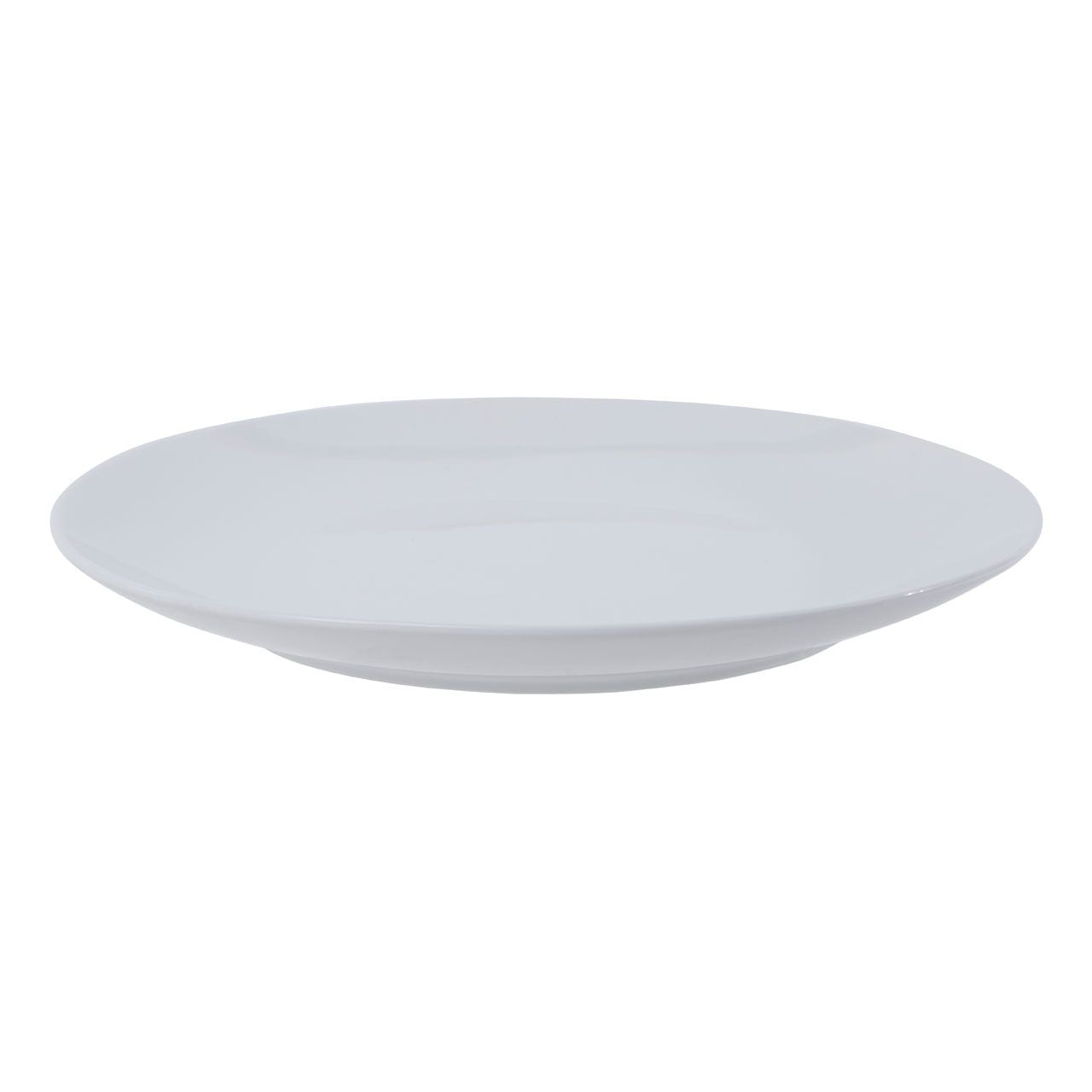 16 Piece Porcelain Dinner Set