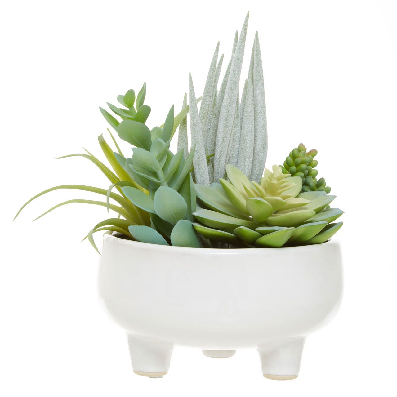 mixed succulent pot Fiori Mixed Succulents in Large Ceramic Pot – IVY Living and Lifestyle