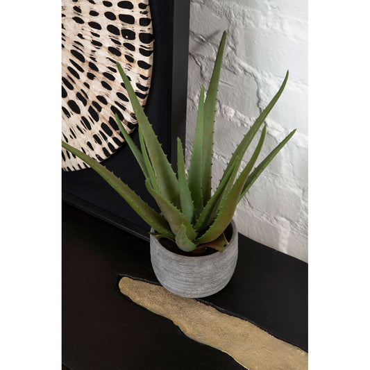 Fiori Large Aloe Vera With Cement Pot