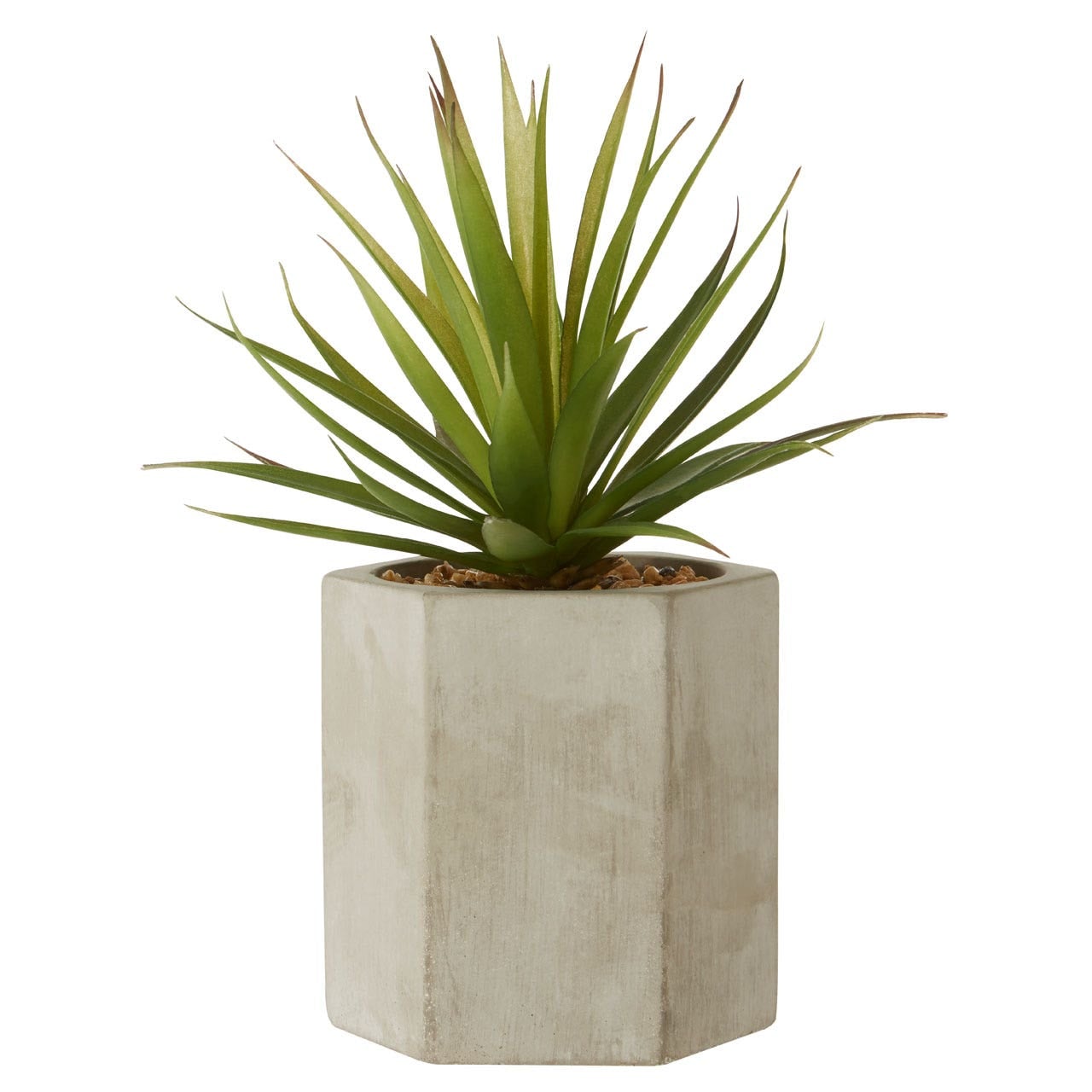 Fiori Sword Grass Plant - Modern Home Interiors