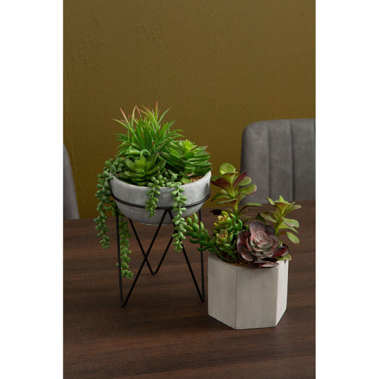 Fiori Mixed Succulent with Metal Stand - Modern Home Interiors