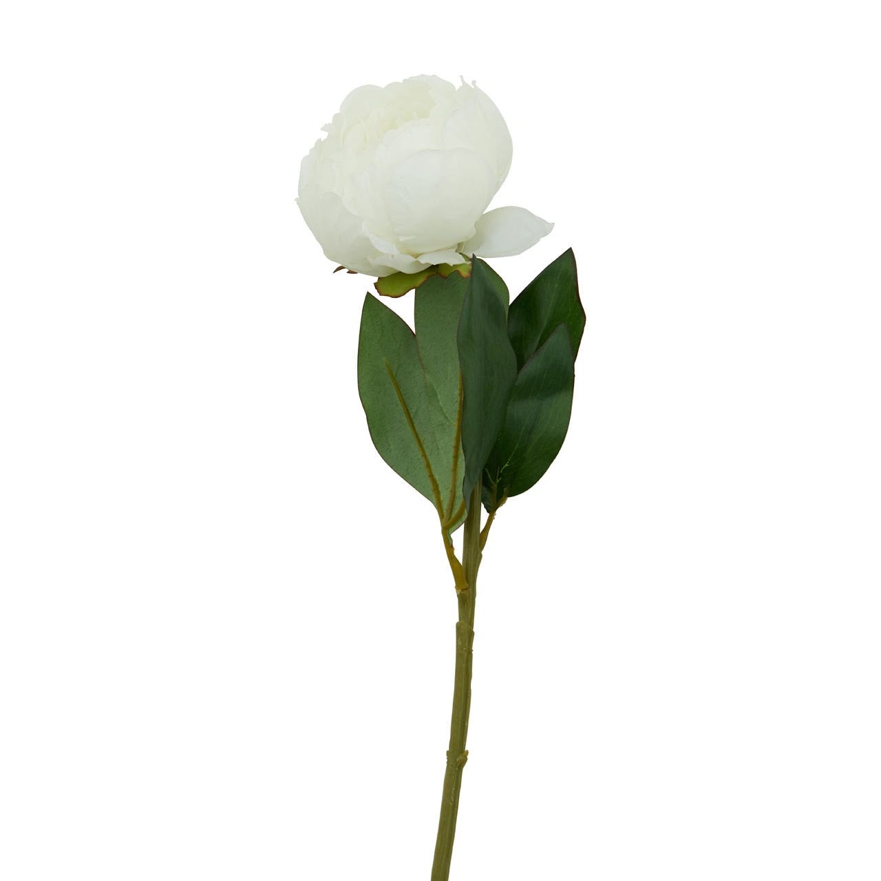 Fiori Peony Stem White Pink Flower - 65cm - Modern Home Interiors