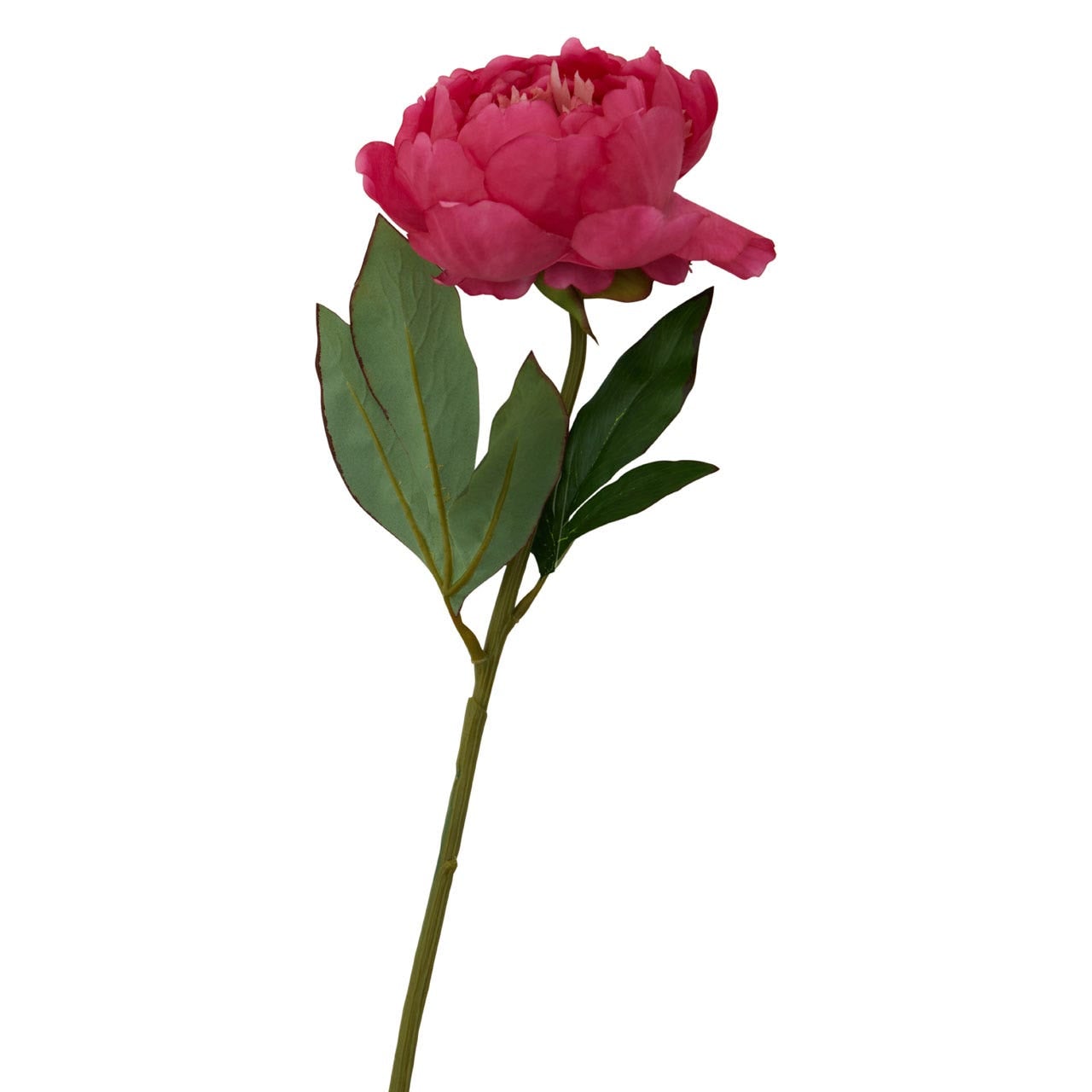 Fiori Peony Stem Fuchsia Flower - 65cm - Modern Home Interiors