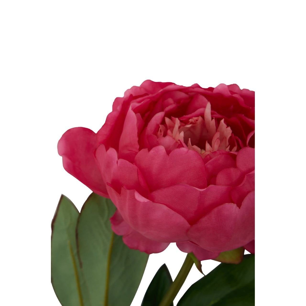 Fiori Peony Stem Fuchsia Flower - 65cm - Modern Home Interiors