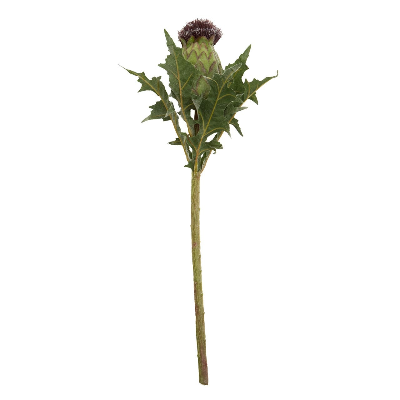 Fiori Green and Purple Thistle Stem - 56cm - Modern Home Interiors