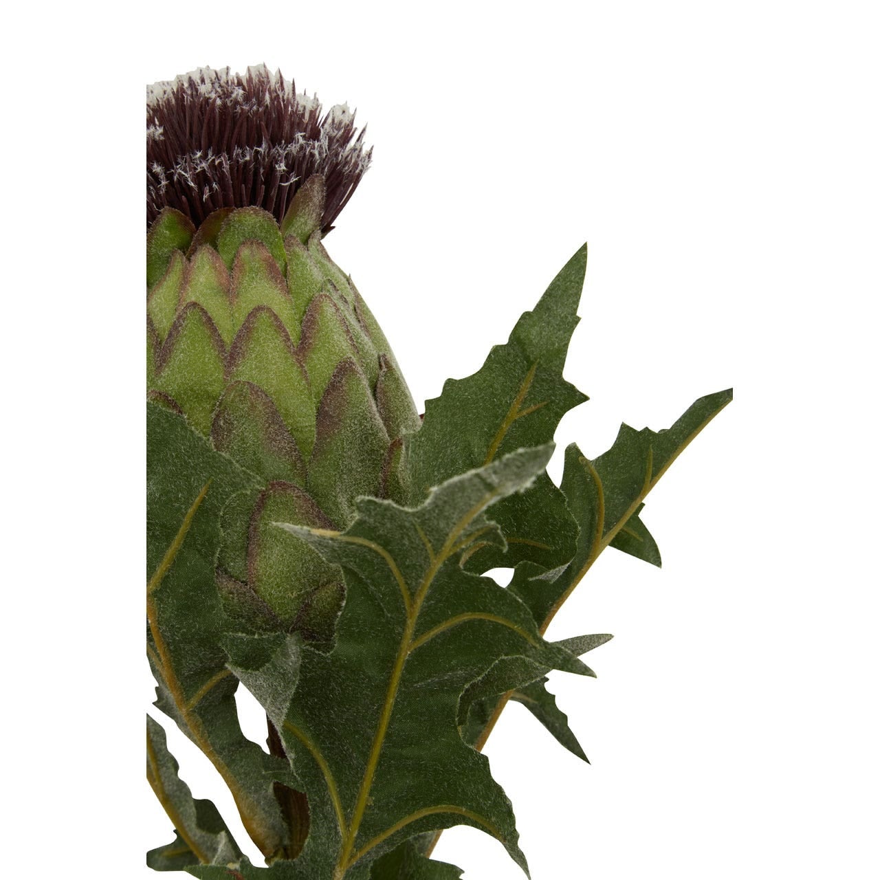 Fiori Green and Purple Thistle Stem - 56cm - Modern Home Interiors