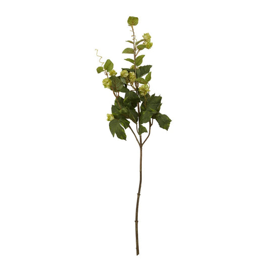 Fiori Pale Lime Hops - 88cm - Modern Home Interiors