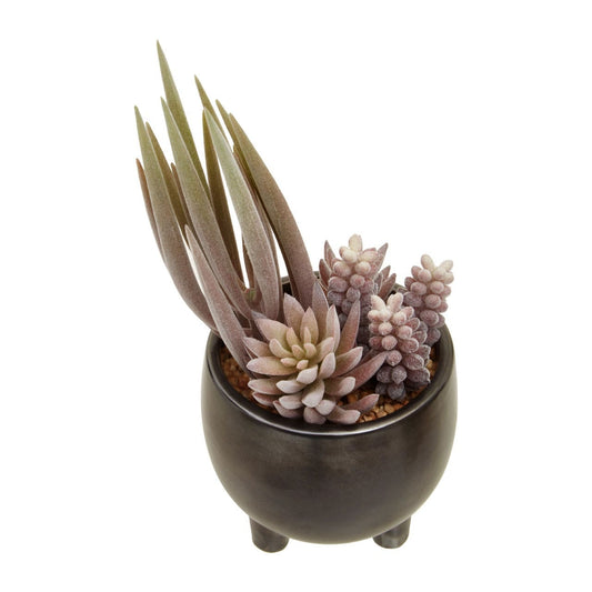 Fiori Mixed Succulents in Ceramic Pot - Modern Home Interiors