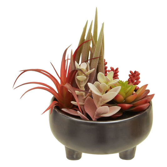 Fiori Mixed Succulents in Grey Ceramic Pot - Modern Home Interiors