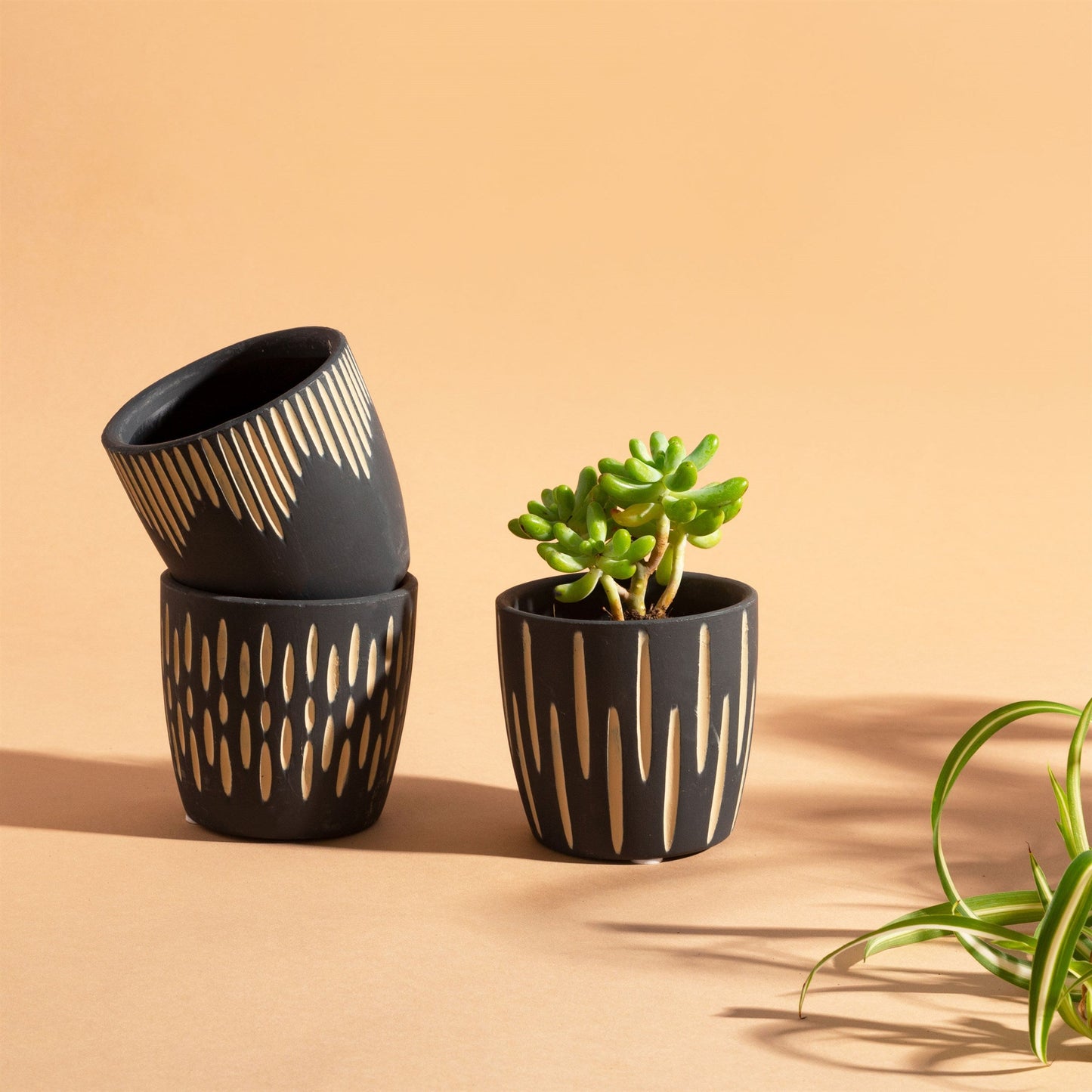 Black Sgrafitto Terracotta Mini Planters - Set Of 3