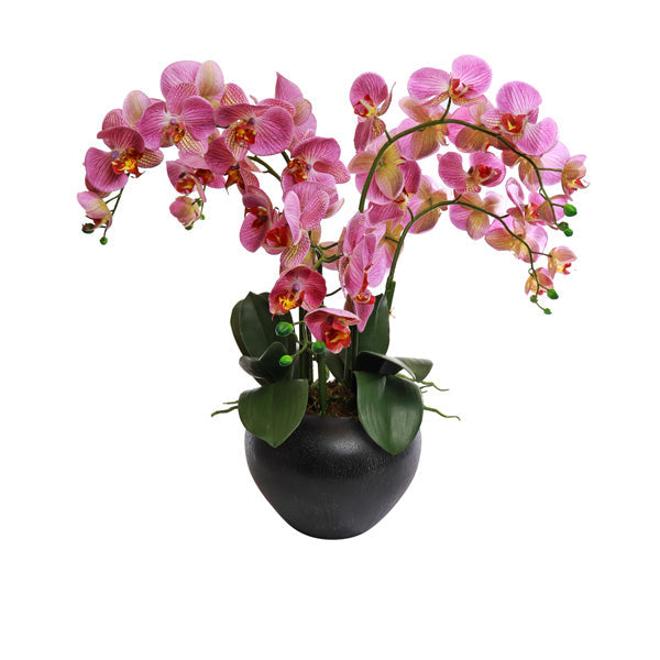 Premium Silk Mauve Phalaenopsis Orchid Arrangement